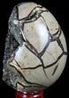 Septarian Dragon Egg Geode - Black & Yellow Crystals #57430-2